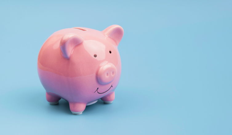 Project Budget as the Key to Successful Project Management